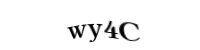 Please type the letters and numbers below