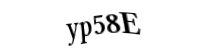 Please type the letters and numbers below