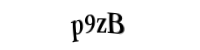 Please type the letters and numbers below