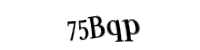 Please type the letters and numbers below