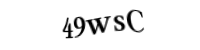 Please type the letters and numbers below