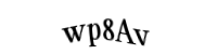 Please type the letters and numbers below