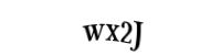 Please type the letters and numbers below