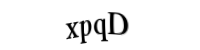 Please type the letters and numbers below