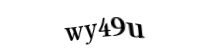 Please type the letters and numbers below