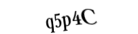 Please type the letters and numbers below