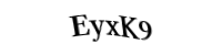 Please type the letters and numbers below