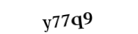 Please type the letters and numbers below