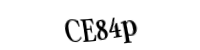 Please type the letters and numbers below