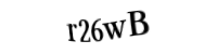 Please type the letters and numbers below