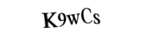 Please type the letters and numbers below