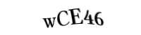 Please type the letters and numbers below