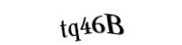Please type the letters and numbers below