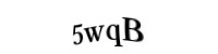 Please type the letters and numbers below