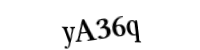 Please type the letters and numbers below