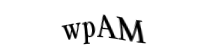 Please type the letters and numbers below