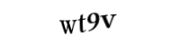Please type the letters and numbers below