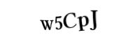 Please type the letters and numbers below