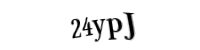 Please type the letters and numbers below