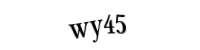 Please type the letters and numbers below