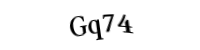 Please type the letters and numbers below