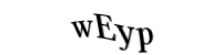 Please type the letters and numbers below