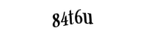 Please type the letters and numbers below