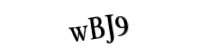 Please type the letters and numbers below