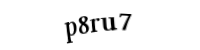 Please type the letters and numbers below