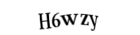 Please type the letters and numbers below