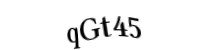 Please type the letters and numbers below