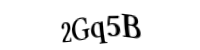 Please type the letters and numbers below