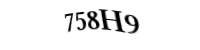 Please type the letters and numbers below