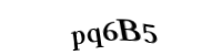 Please type the letters and numbers below