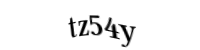Please type the letters and numbers below