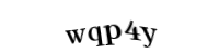 Please type the letters and numbers below