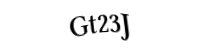 Please type the letters and numbers below