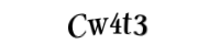 Please type the letters and numbers below