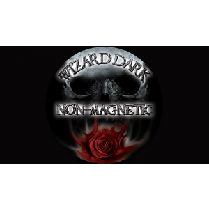 Wizard DarK G2 Style Non-Magnetic Ring CURVED (size 25mm)