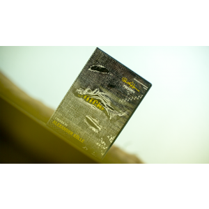 Paul Harris Presents Stitched (DVD and Gimmick) by Alex Kolle - DVD