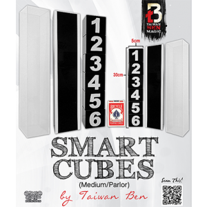 Smart Cubes (Medium / Parlor) by Taiwan Ben - Trick