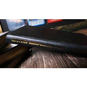 Routined Manipulation Finale (Limited/Out of Print) by Lewis Ganson - Book