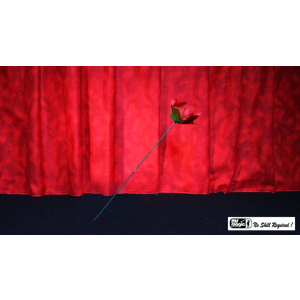 Torch to Rose by Mr. Magic - Trick