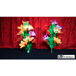 Double Flower Bouquet by Mr. Magic - Trick