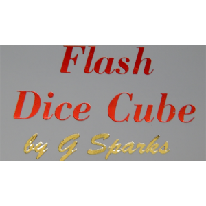 FLASH DICE CUBE (White) by G Sparks