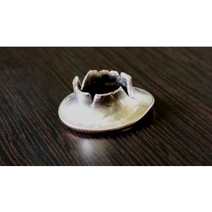 Karate Coin by Zanadu Magic