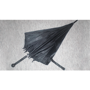 Umbrella Card Sword by Brad Toulouse-Maple Leaf Magic - Trick