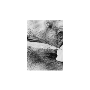 Memoria 2 by Fraser Parker - Book