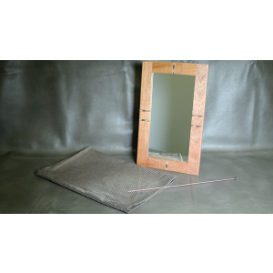 Flexible Mirror/Needle Through Mirror by Tony Karpinski