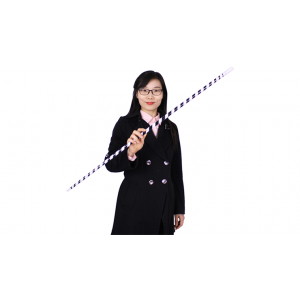 Appearing Cane (Plastic, BLACK & WHITE STRIPED) by JL Magic